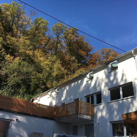 Ferienwohnungen Lamisto Am Waldesrand Neckartenzlingen 外观 照片