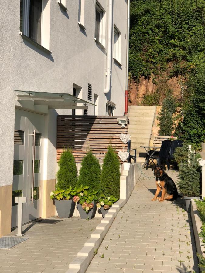 Ferienwohnungen Lamisto Am Waldesrand Neckartenzlingen 外观 照片